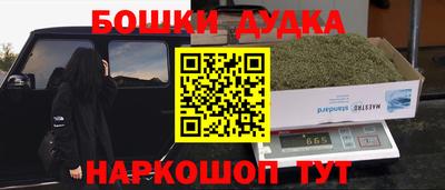 2c-b Кингисепп