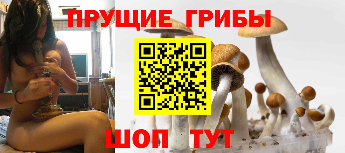Псилоцибиновые грибы Psilocybe  Вход с VPN  Владимир  Галлюциногенные грибы мицелий 