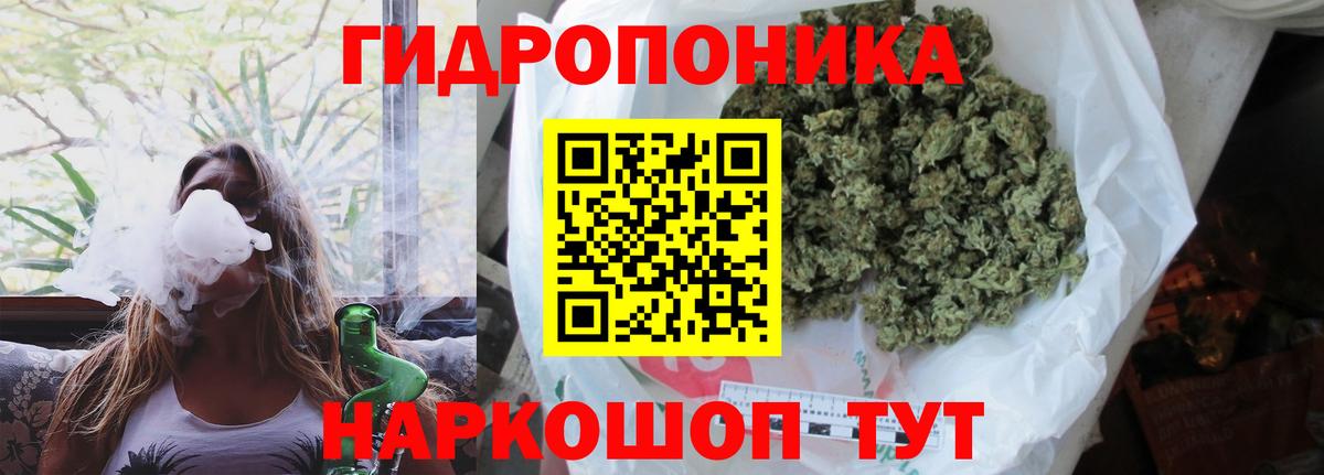 Бошки Шишки планчик Владимир